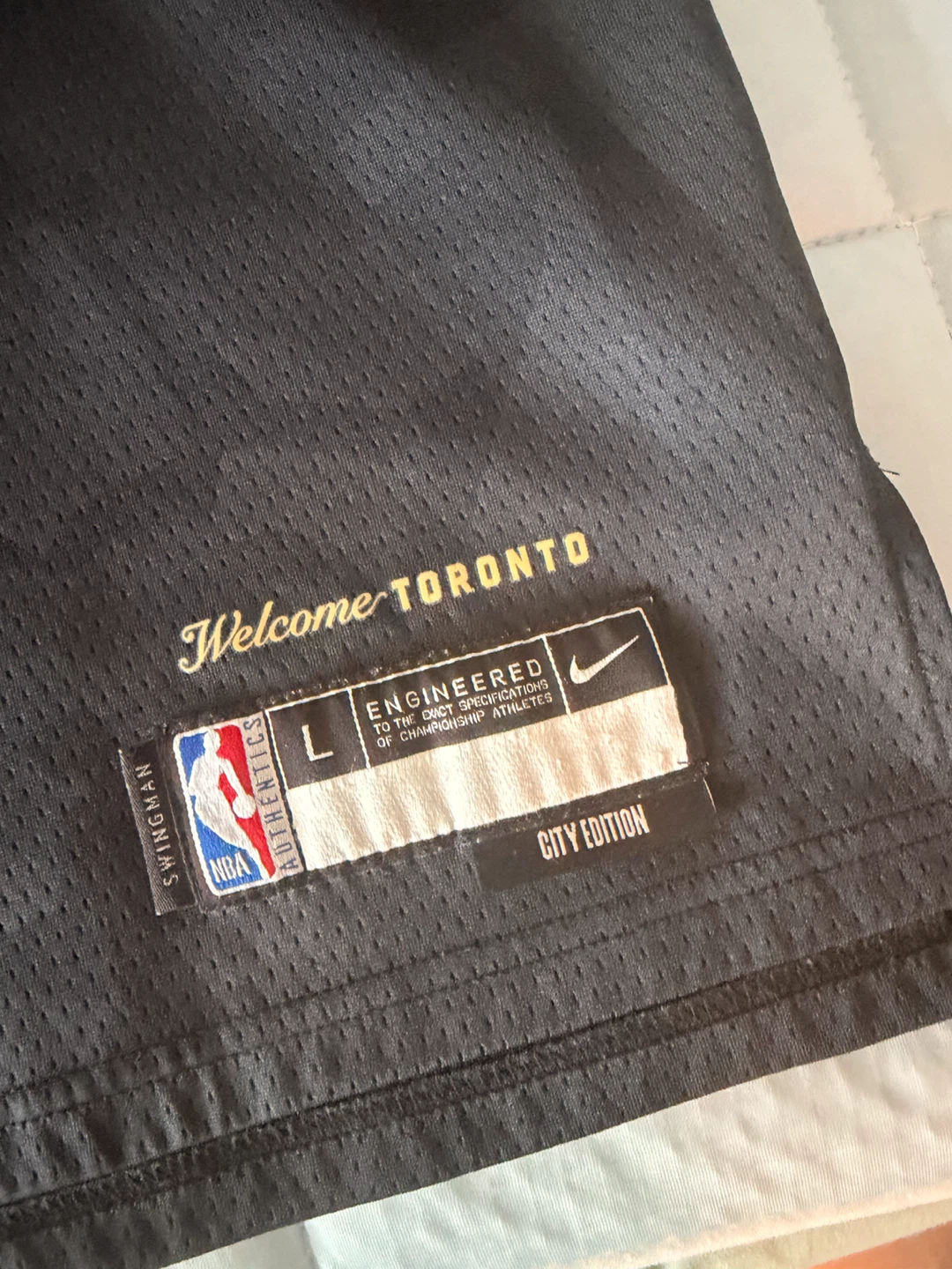 Youth Toronto Raptors Barnes Jersey Size L - photo 2