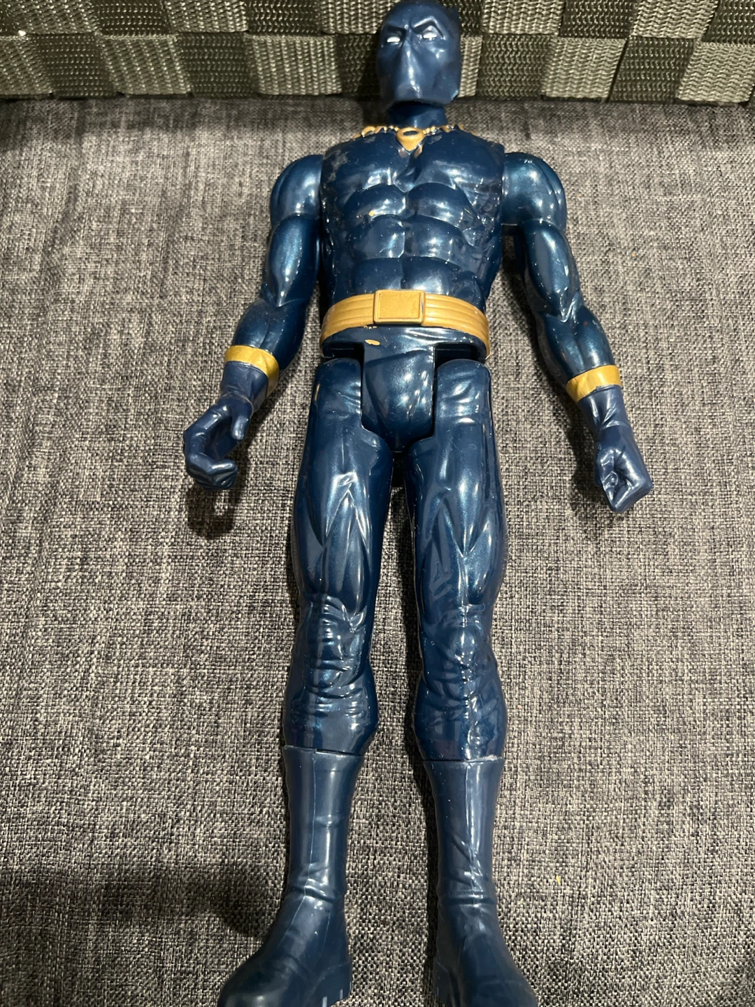 Blue Panther Action Figure Toy