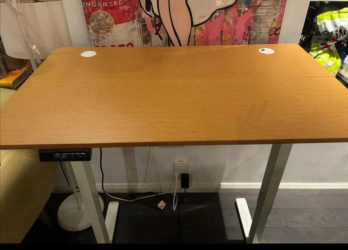 Adjustable Standing Desk - photo 3