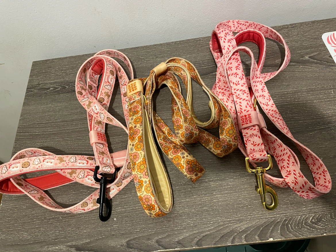 L/XL Dog Leashes Lot (TagsForHope)