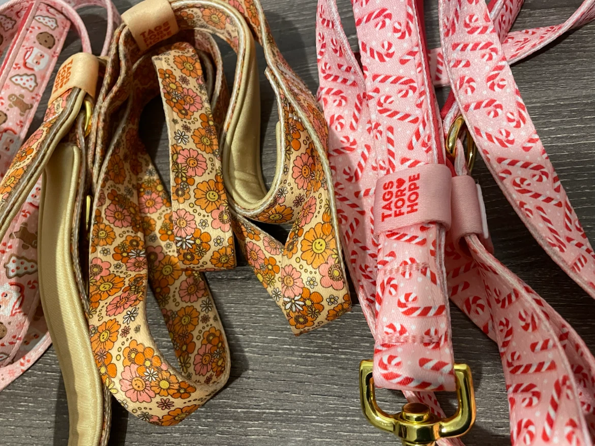 L/XL Dog Leashes Lot (TagsForHope) - photo 2