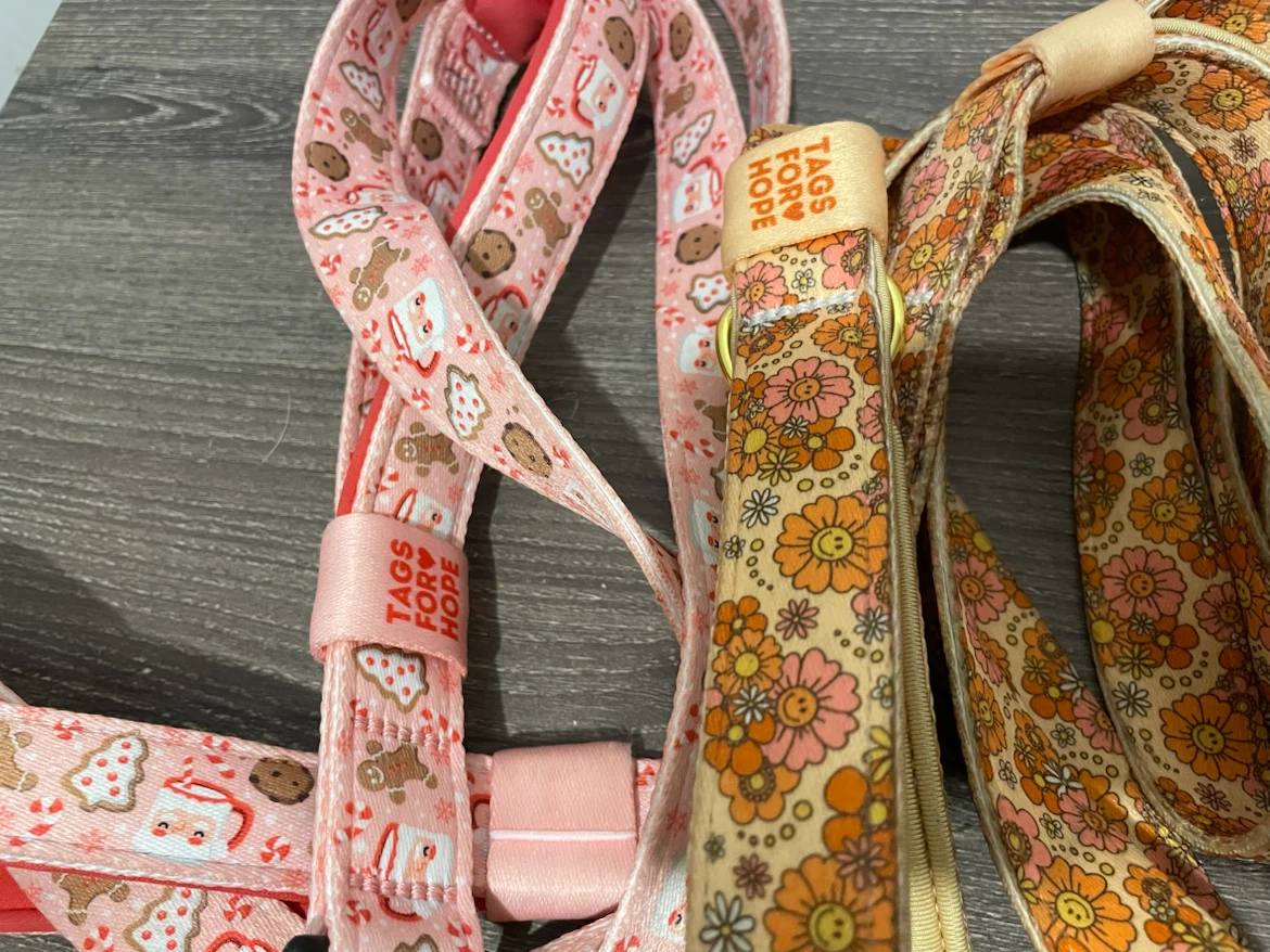 L/XL Dog Leashes Lot (TagsForHope) - photo 3