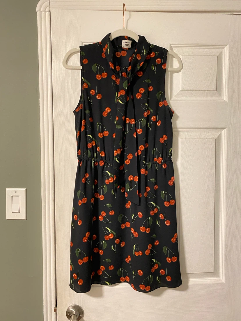 Aritzia Sunday Best Cherry Print Tie Neck Dress - photo 2