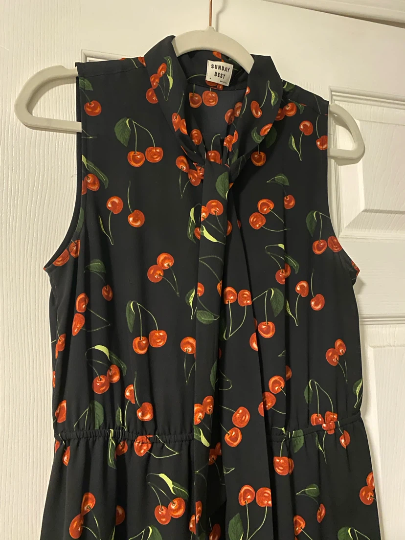 Aritzia Sunday Best Cherry Print Tie Neck Dress - photo 4