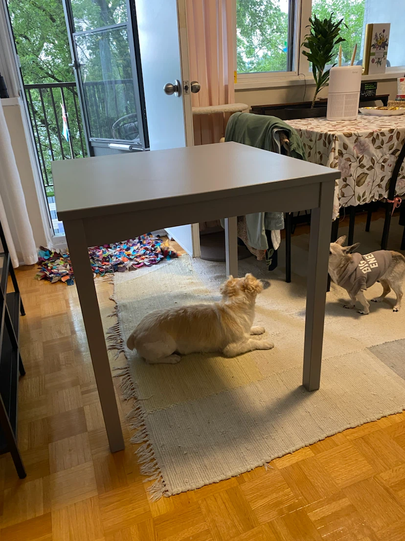 IKEA Hauga chair and table - photo 5