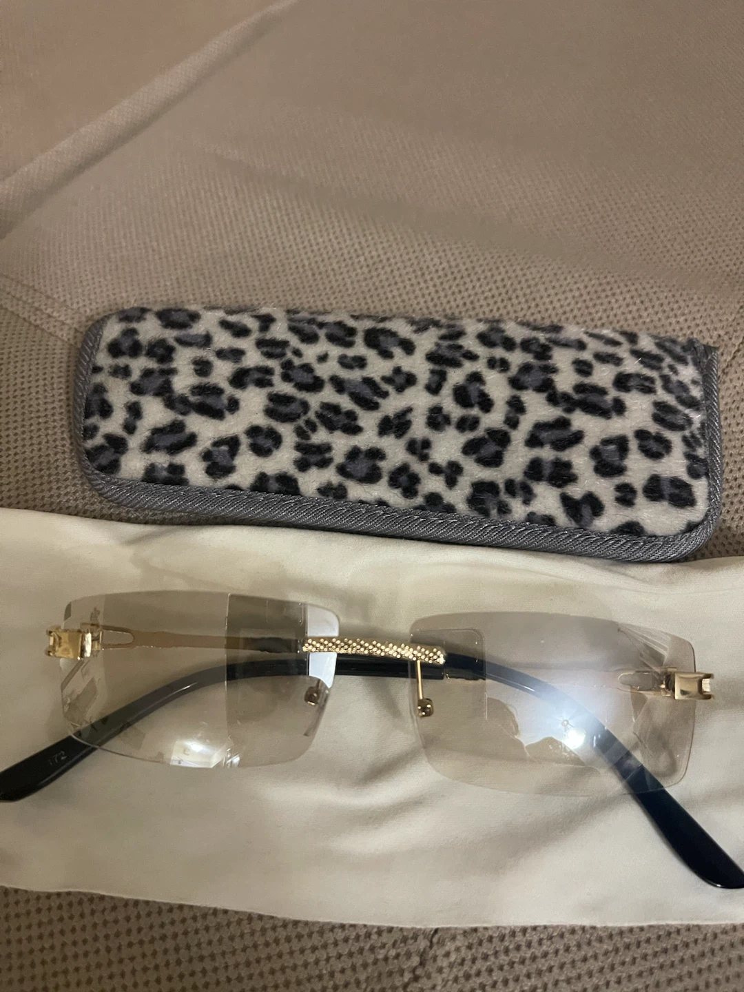 Rimless Sunglasses with Leopard Print Case