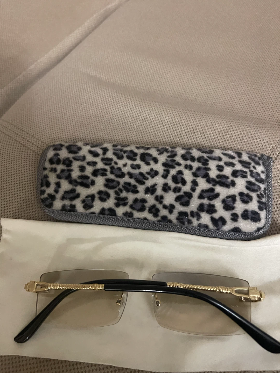 Rimless Sunglasses with Leopard Print Case - photo 2