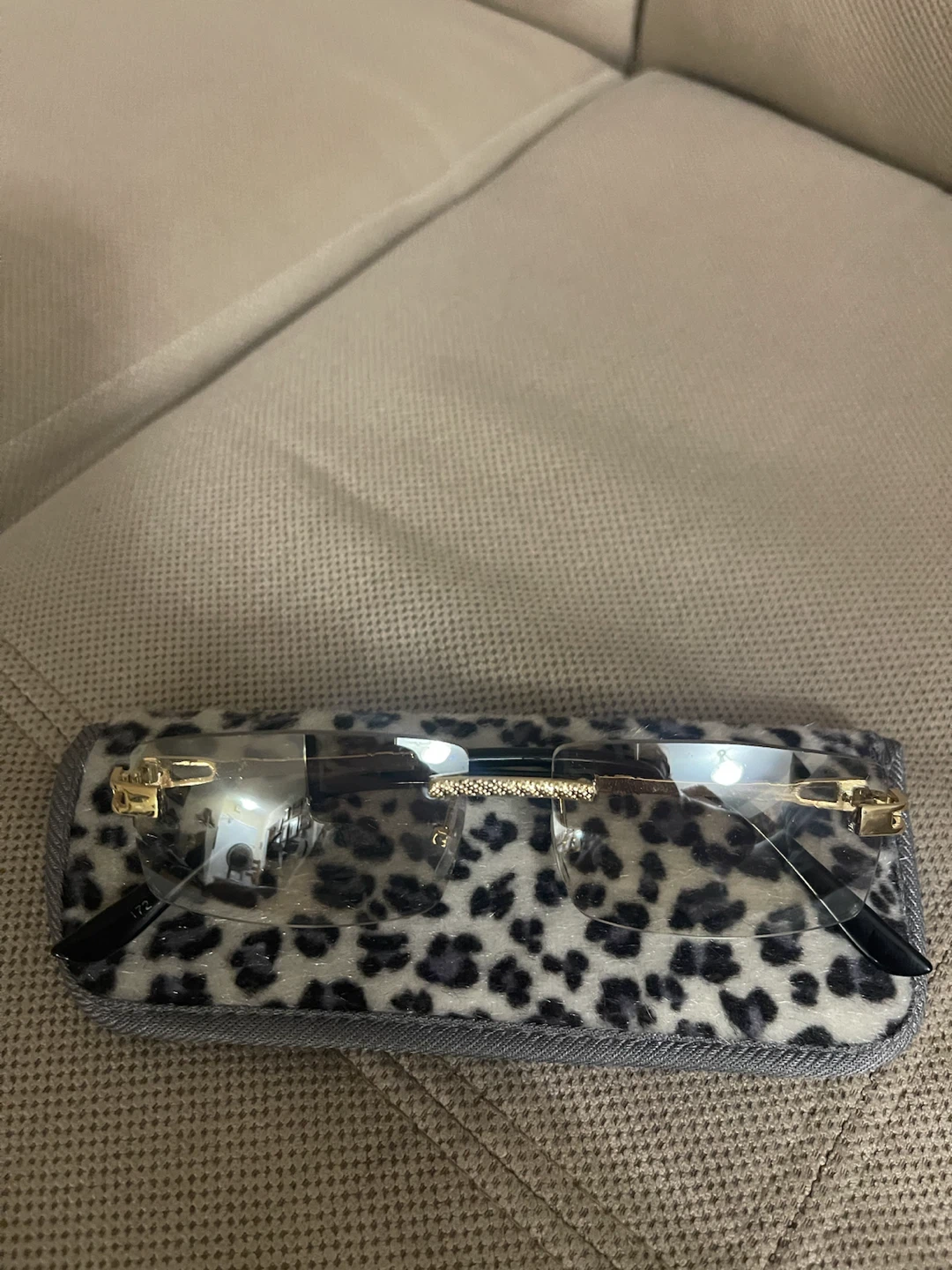 Rimless Sunglasses with Leopard Print Case - photo 3