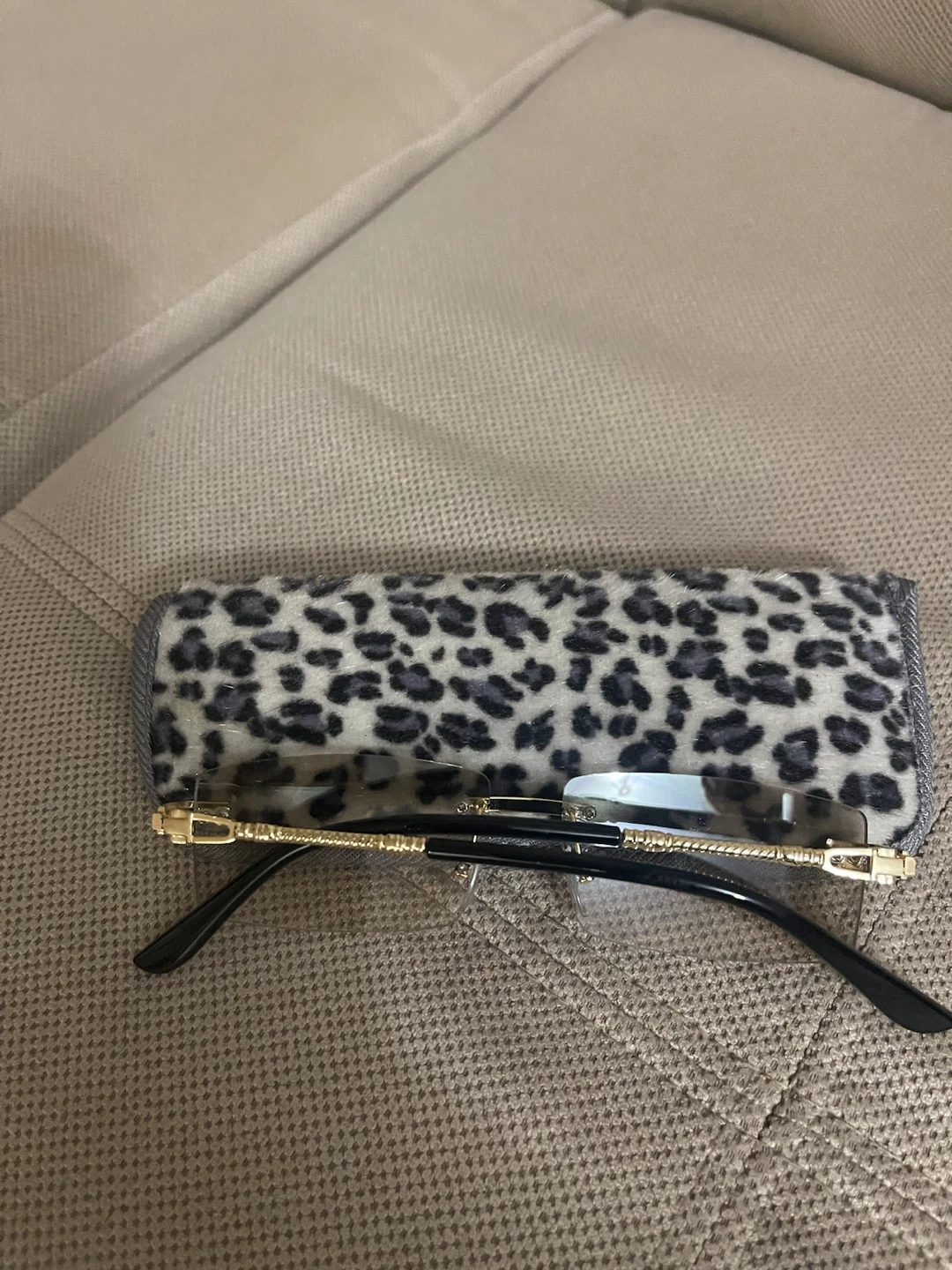 Rimless Sunglasses with Leopard Print Case - photo 4