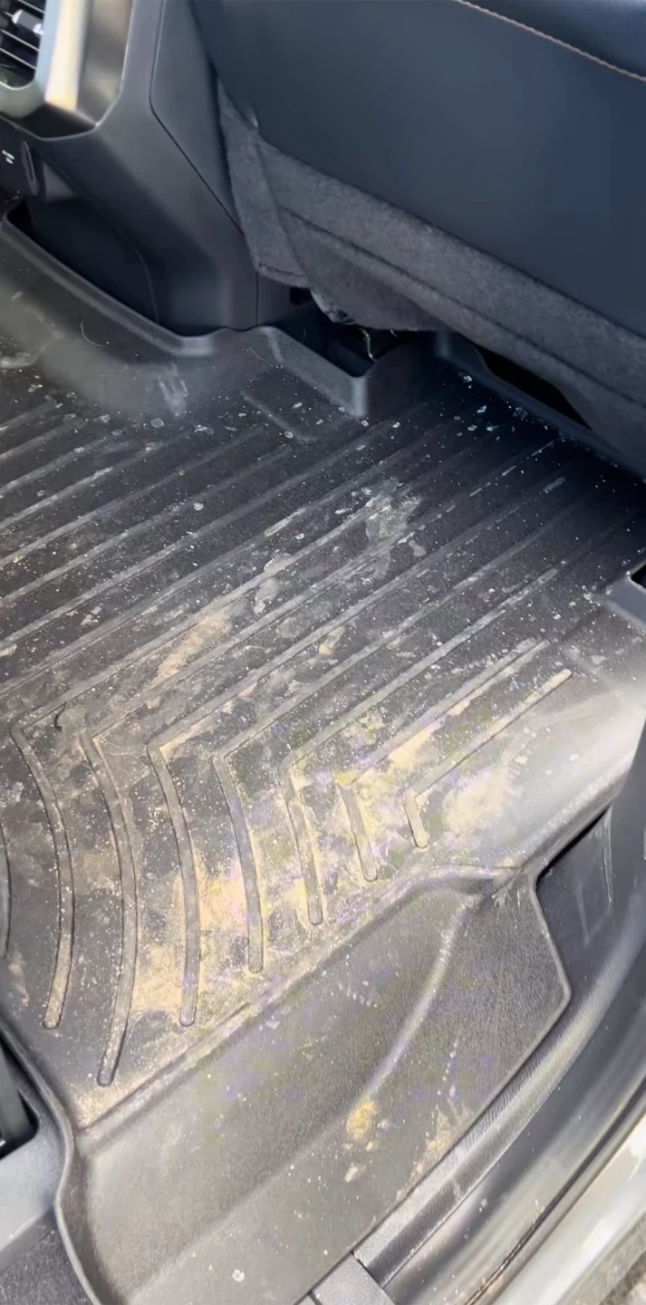 🚗 Professional Mobile Car Detailing - photo 5