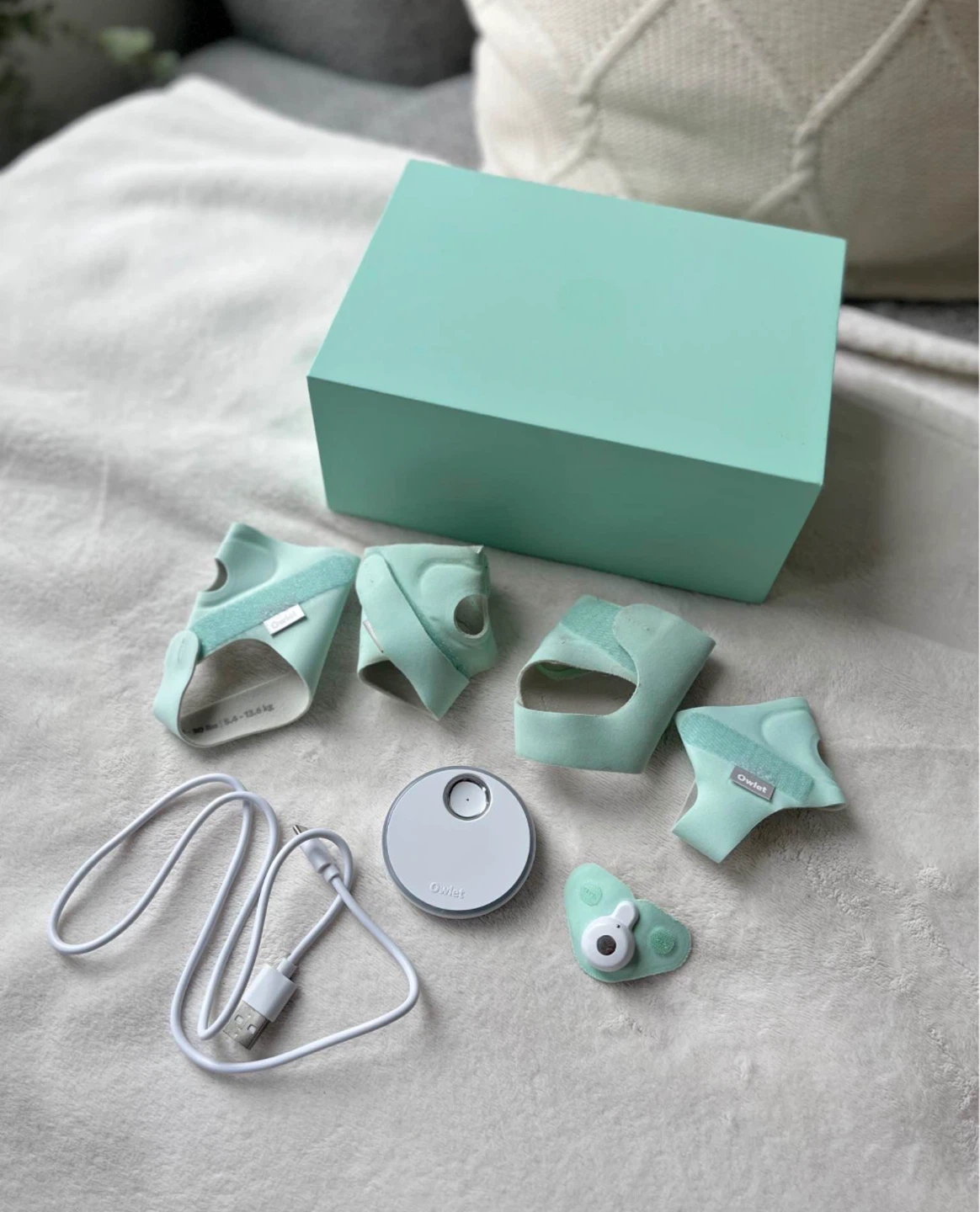 Owlet Smart Sock 3 (Mint Green)