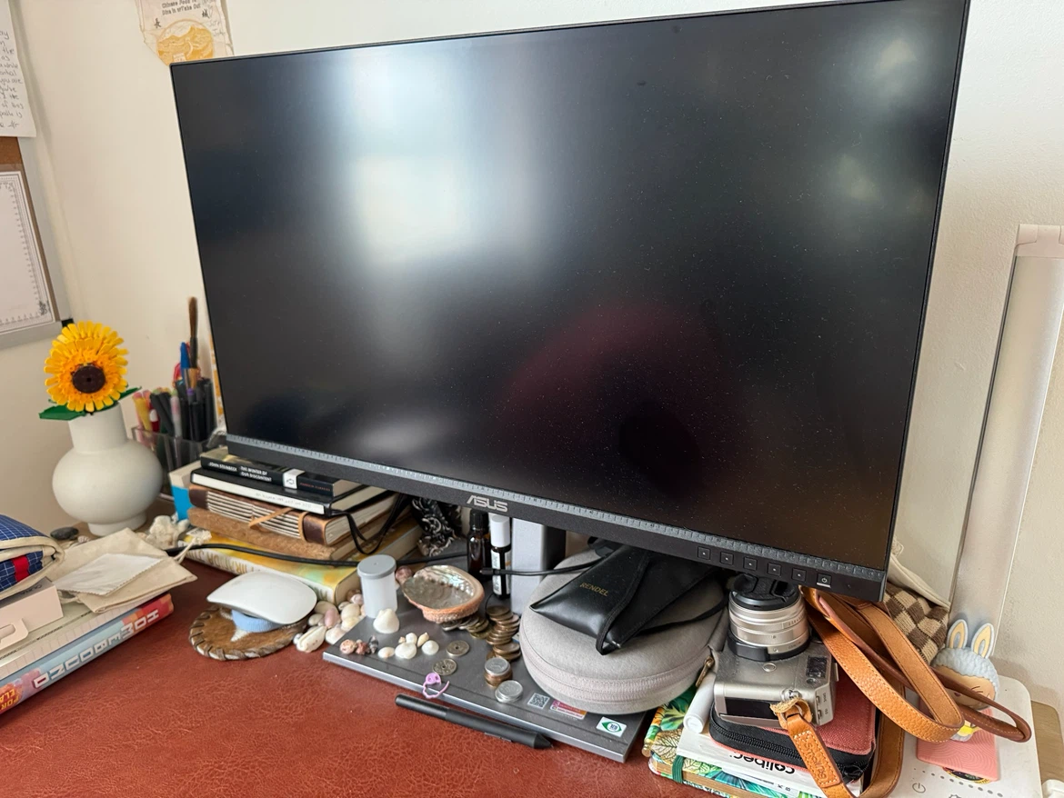 ASUS Monitor