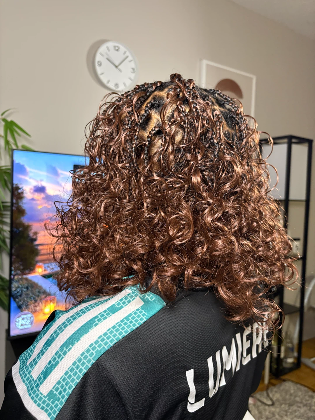Curly Braided Hairstyle - photo 3