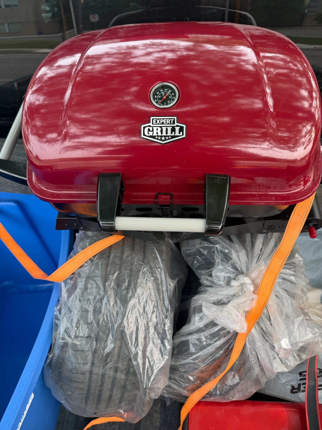 Expert Grill Portable Propane Grill