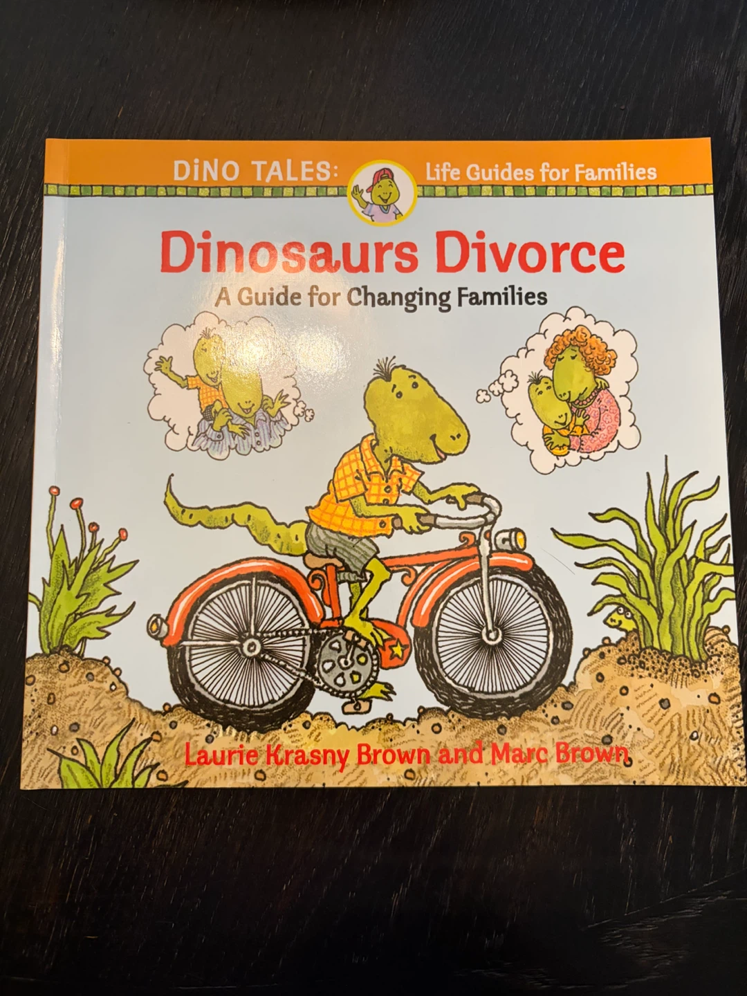 Children's Books About Divorce - photo 2