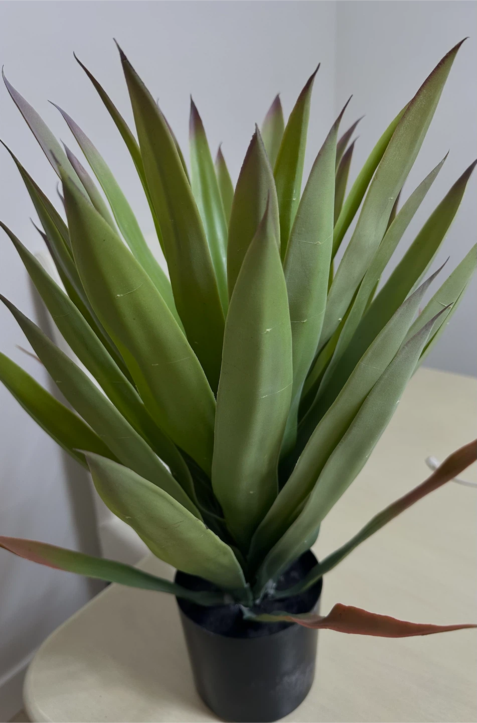 Artificial Succulent Plant