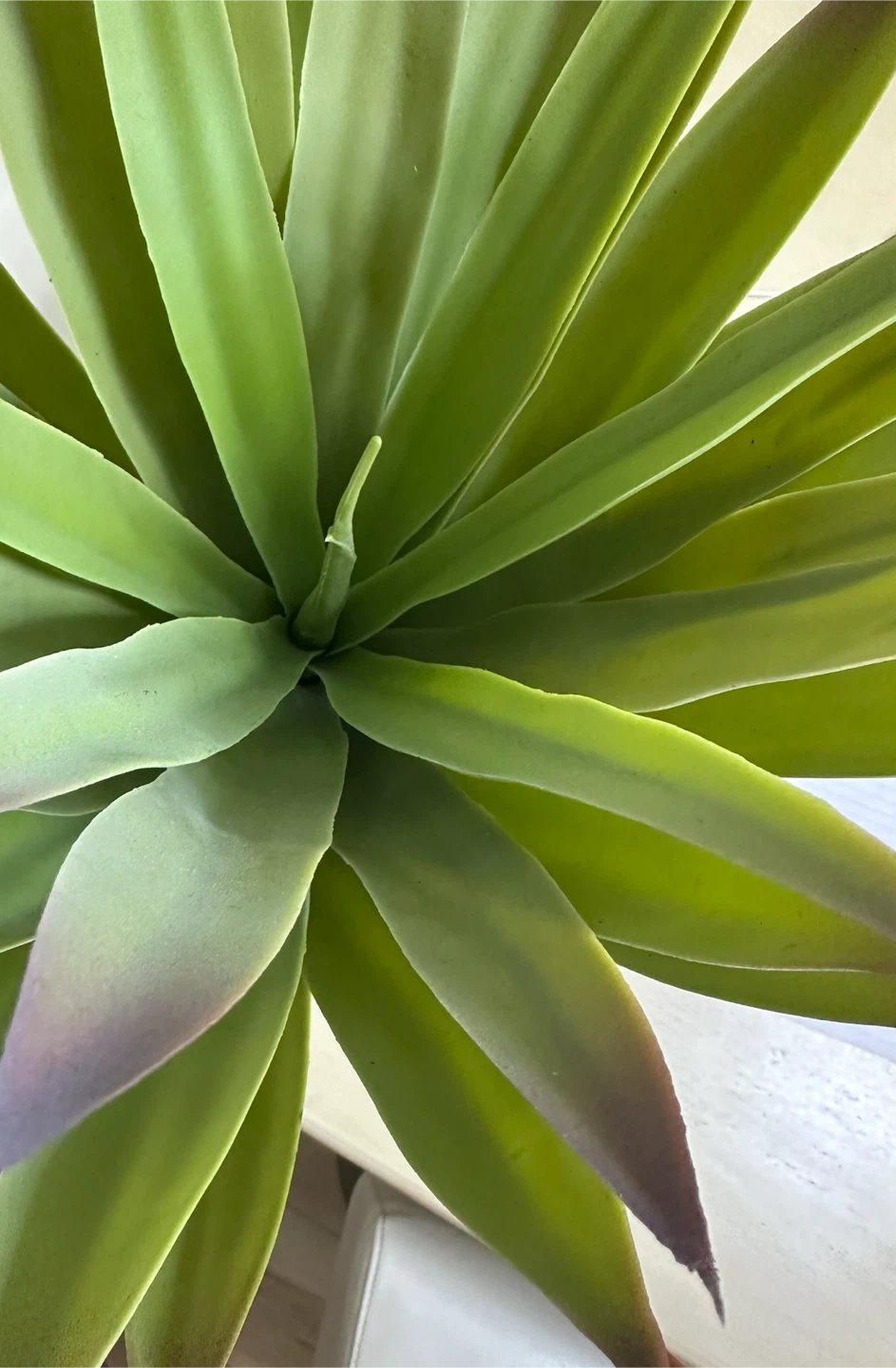 Artificial Succulent Plant - photo 3