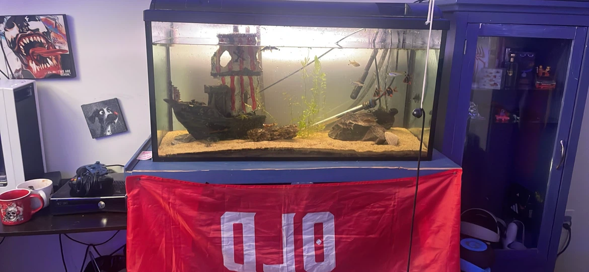 50 gal fish tank with shelf and hester! And fish if wanted