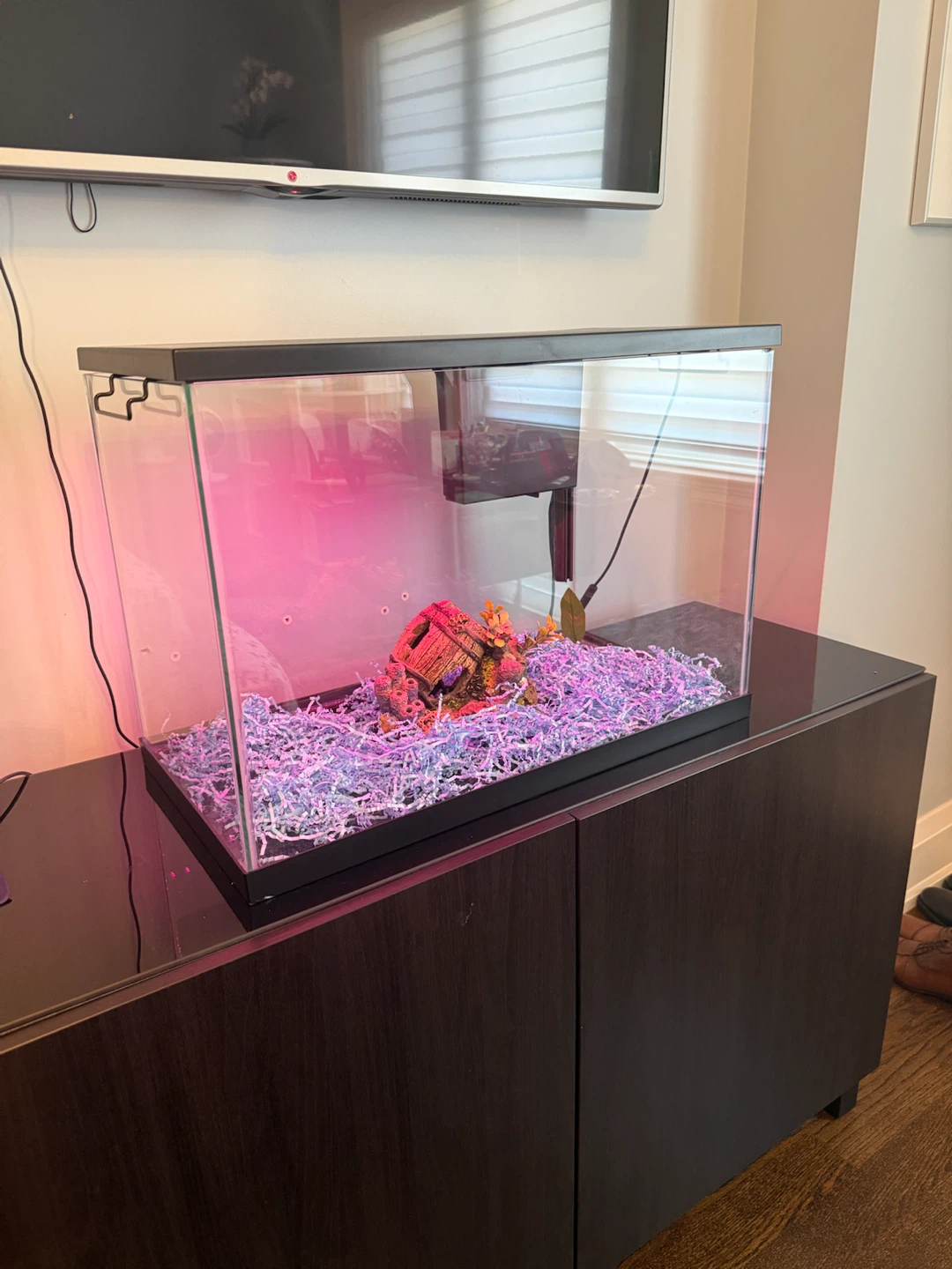 Top Fin Aquarium Kit