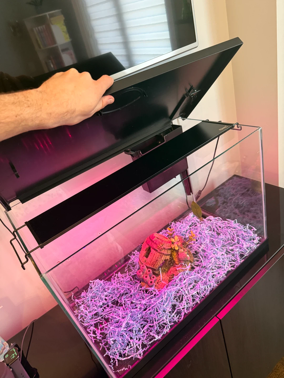 Top Fin Aquarium Kit - photo 2