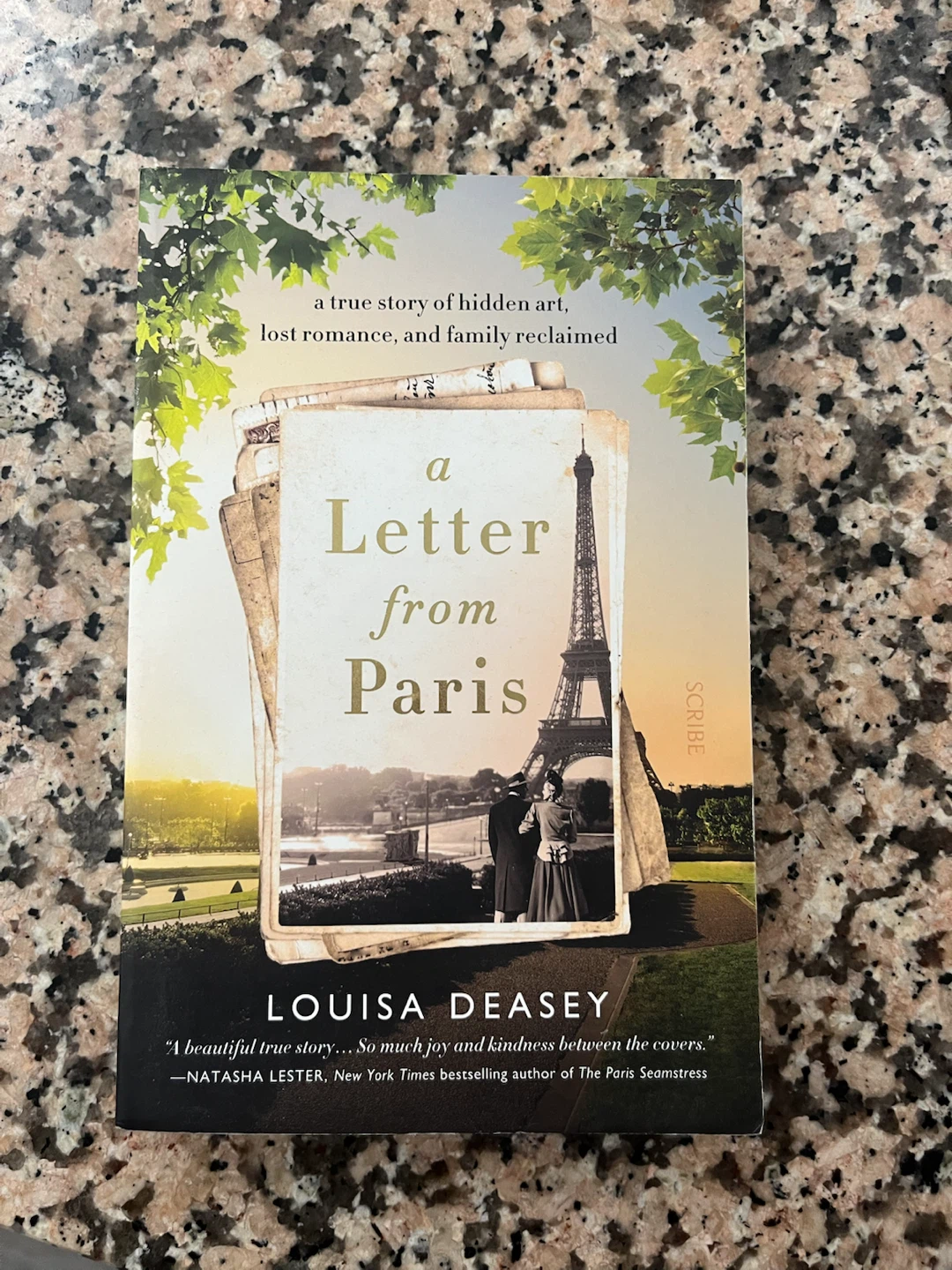 A Letter from Paris by Louisa Deasey