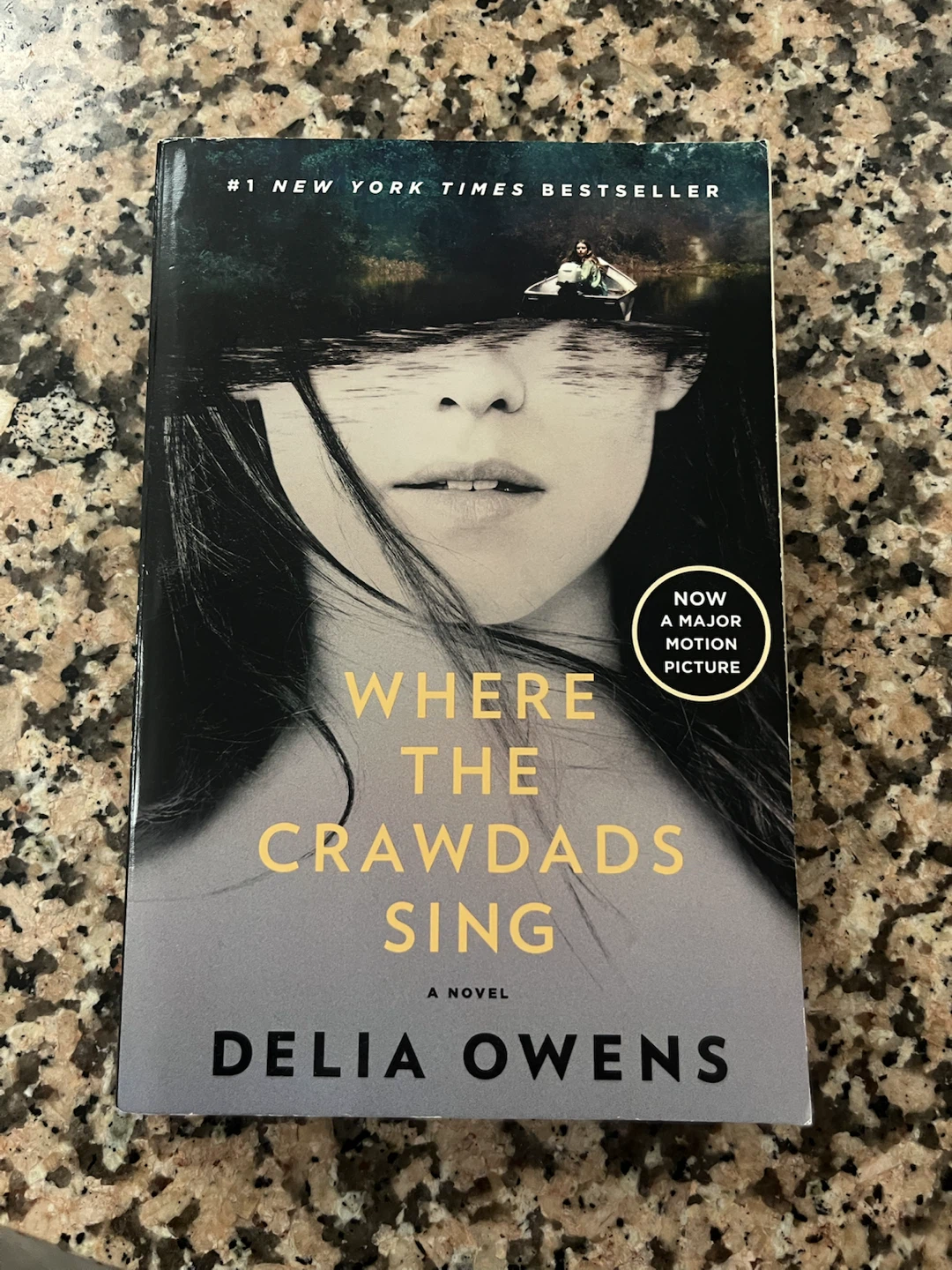 Where the Crawdads Sing by Delia Owens Novel