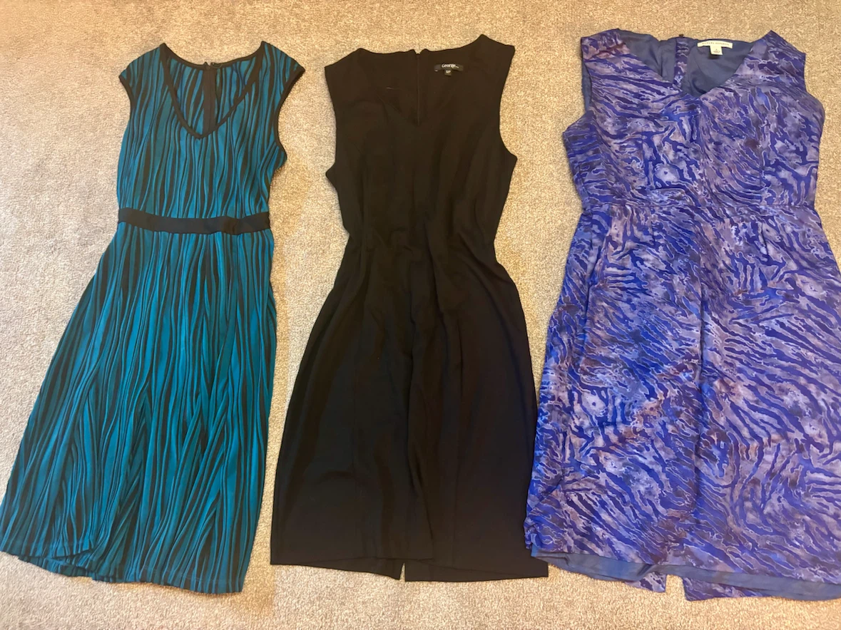 Women’s small dress bag lot