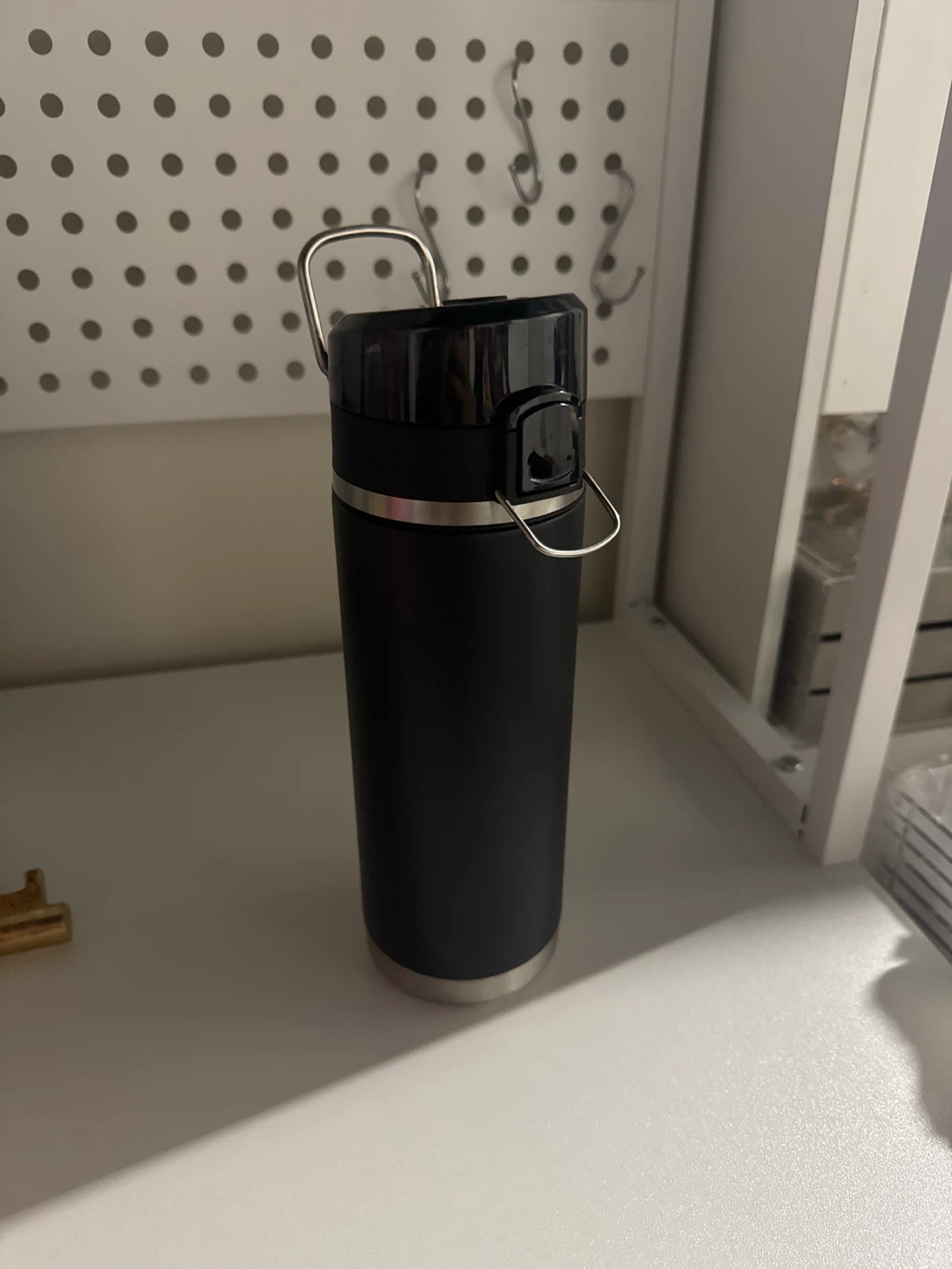 Thermos 24 oz / 710 ML Insulated Bottle