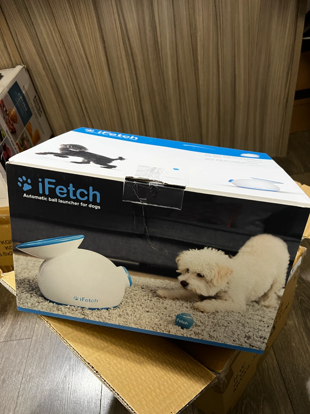 iFetch Automatic Ball Launcher for Dogs