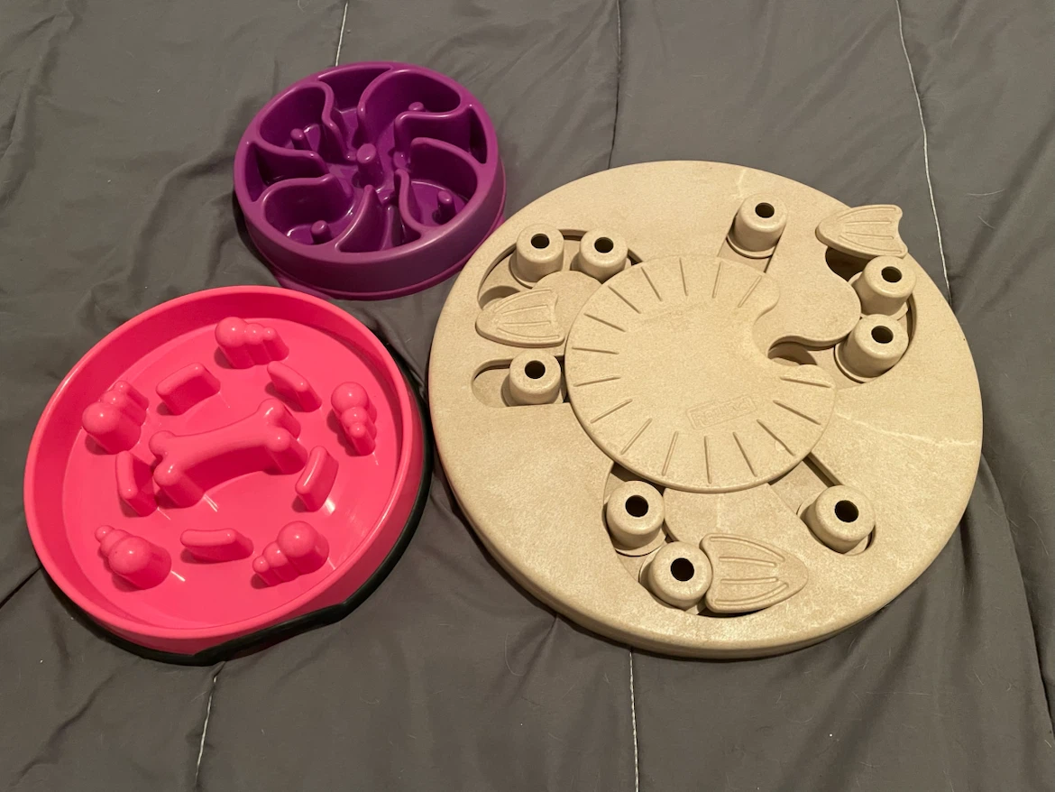 Kong & Outward Hound Dog Puzzle/Slow Bowls
