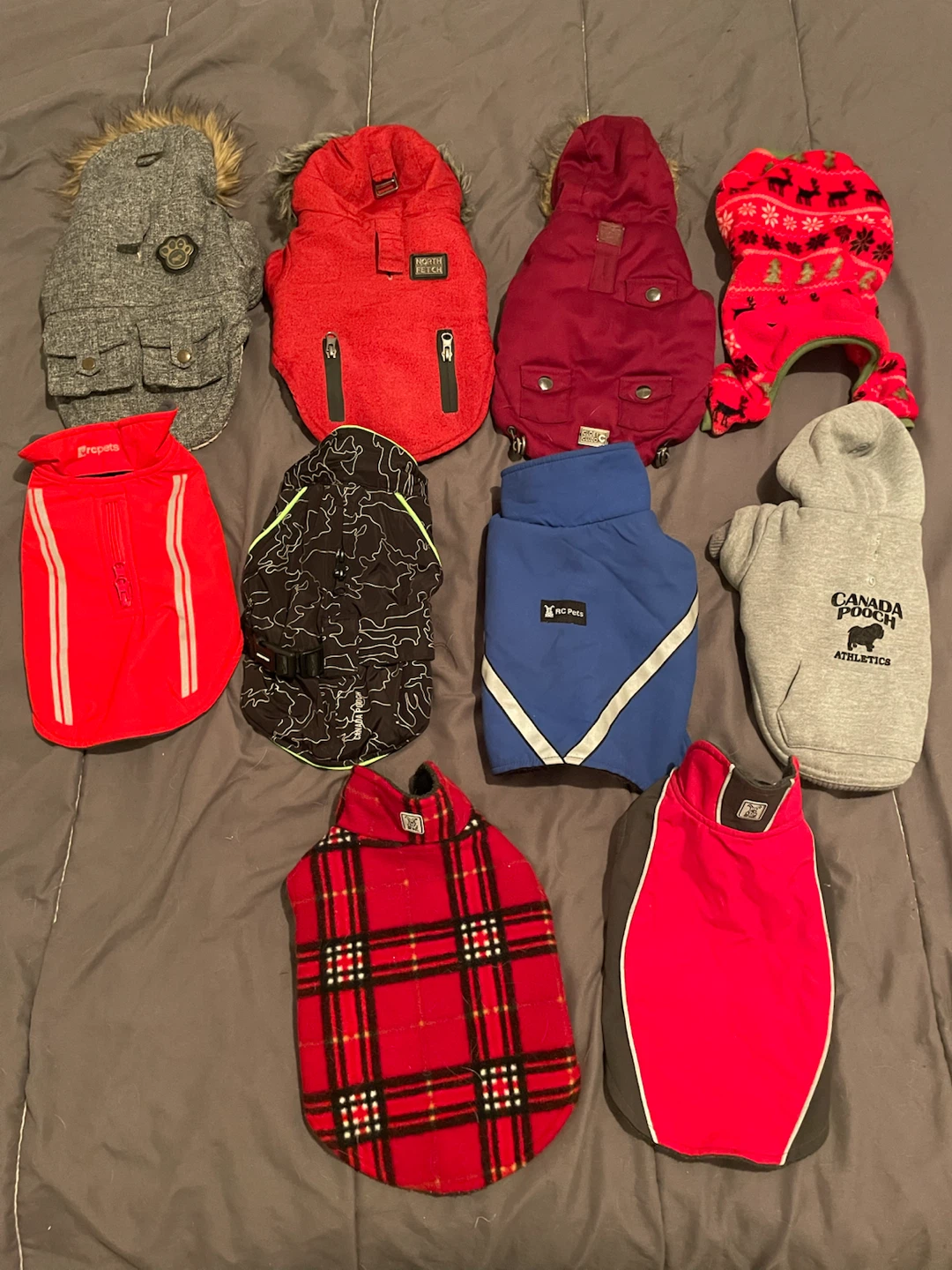10” XS Dog Clothes Lot