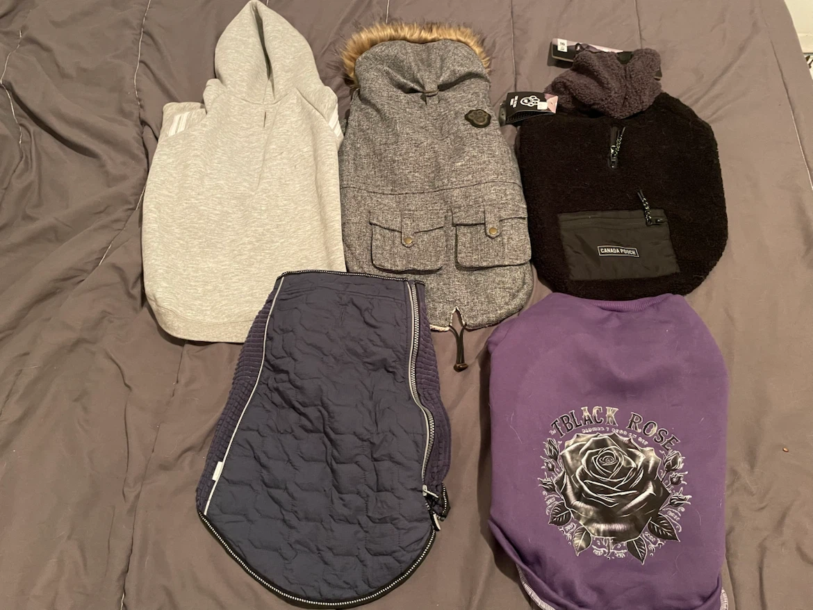 16” Dog Clothes Lot