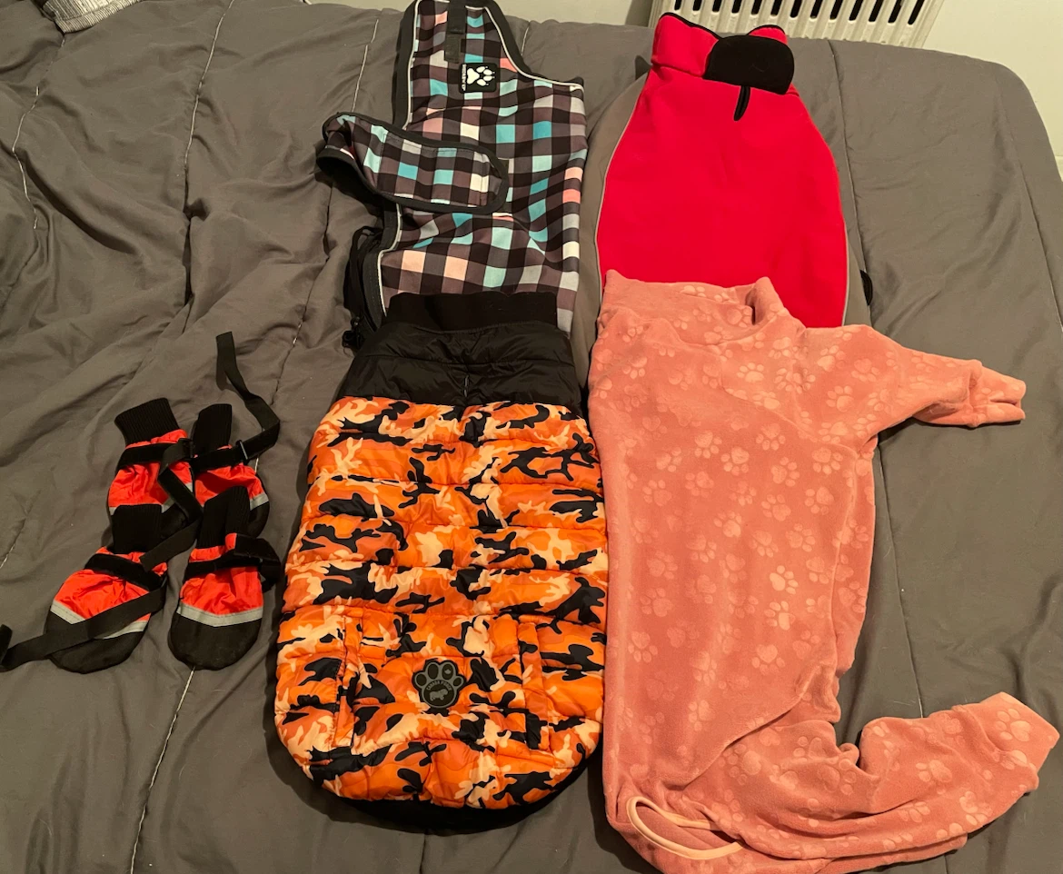 24” Dog Clothes & Boots Lot