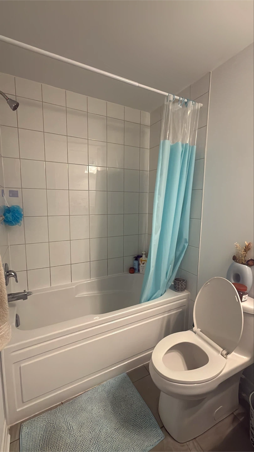 Master bedroom for rent near mt pleasant - photo 5