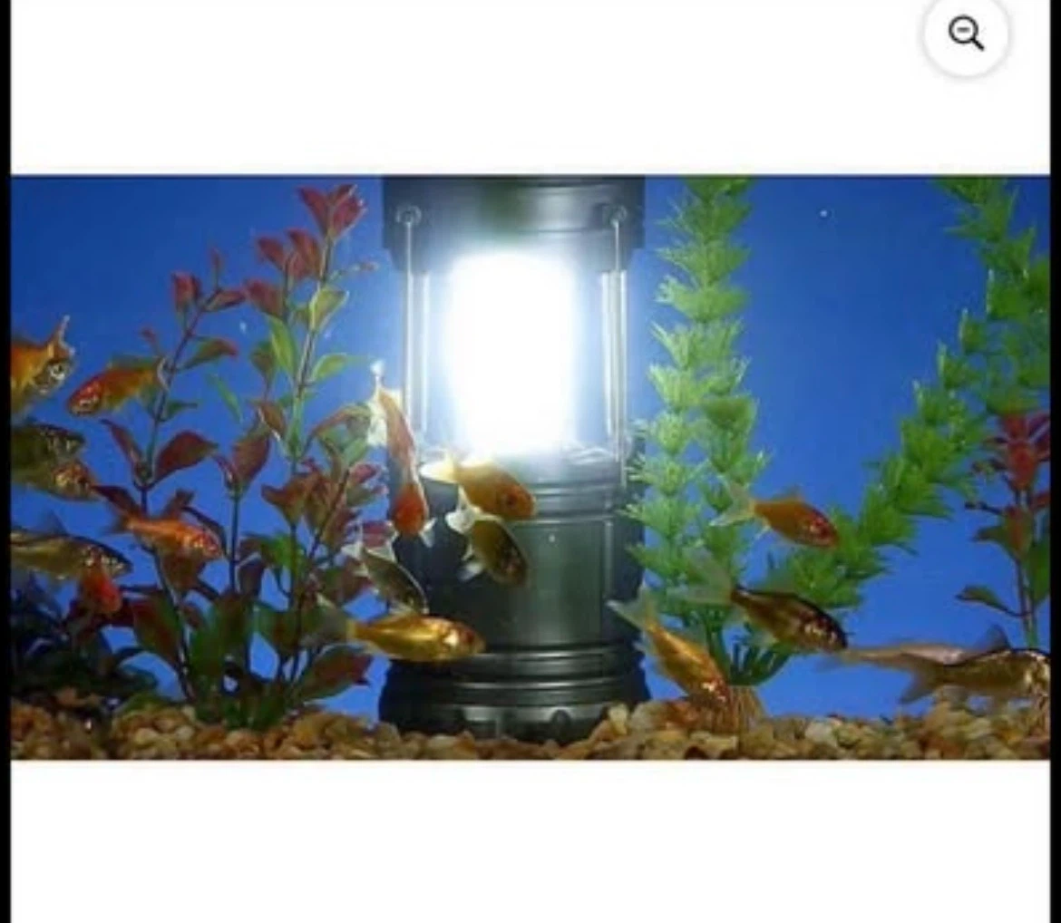 Bell+Howell TacLight  Mini Lantern LED (4 Pack) - photo 5