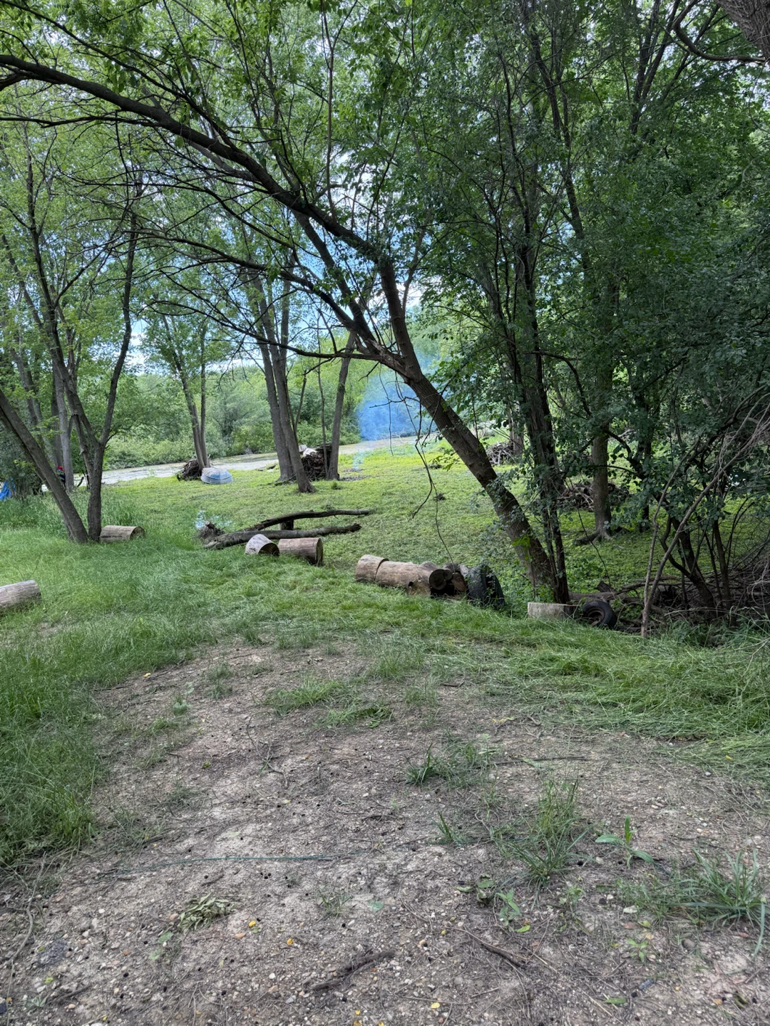 Firewood Logs Bundle - photo 2