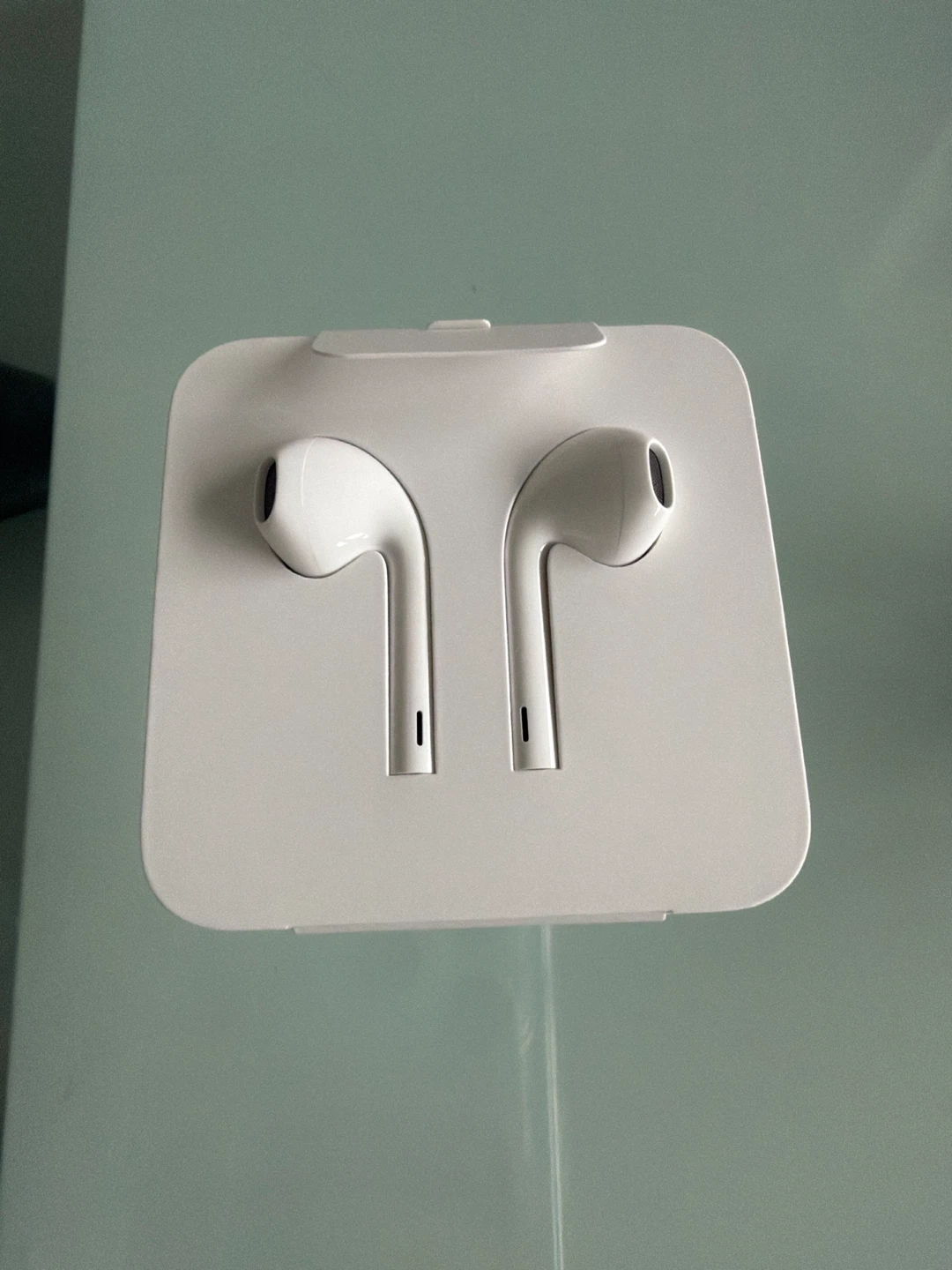 Apple EarPods