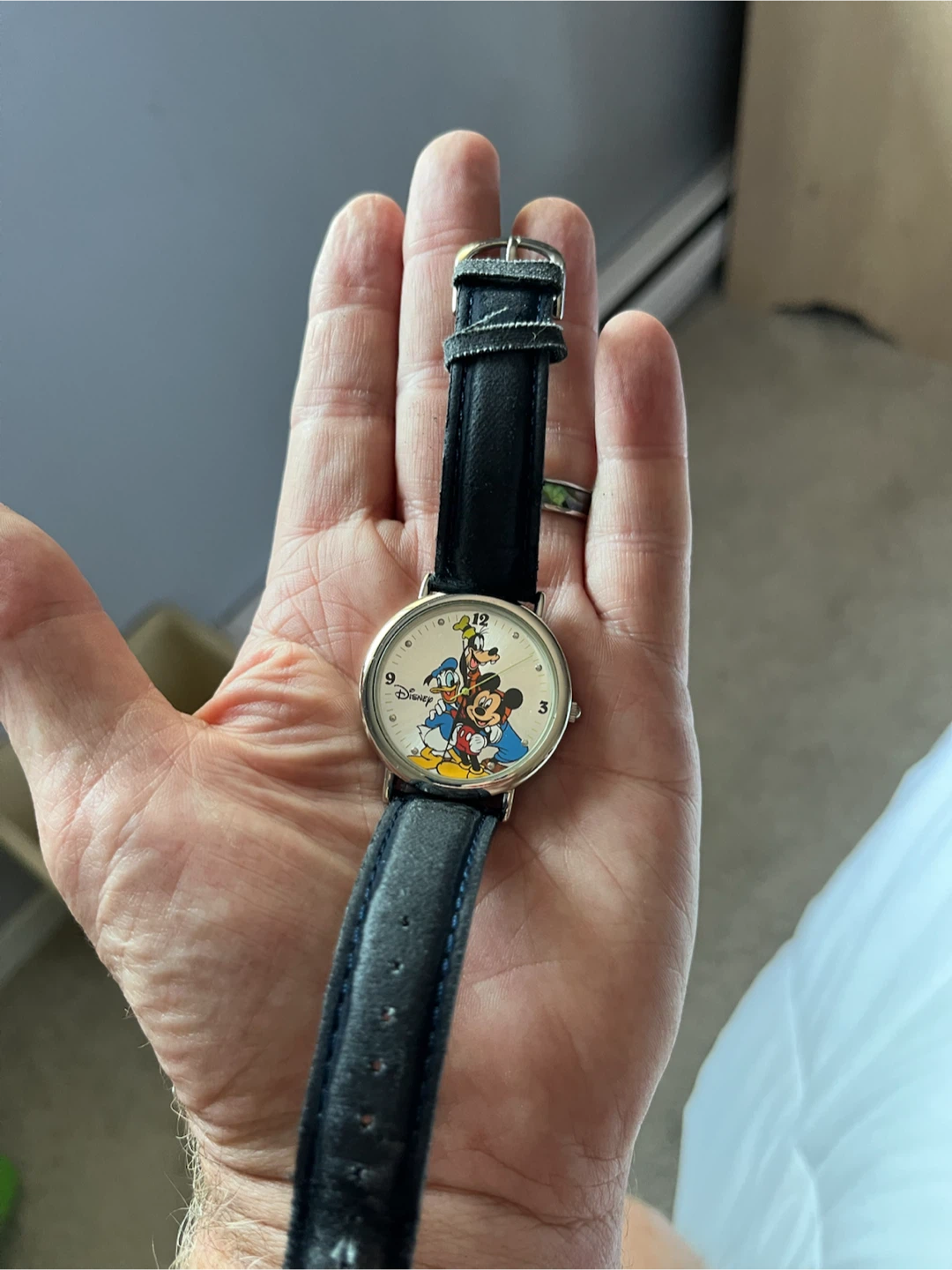 Disney Friends for 70 Years Special Edition Watch