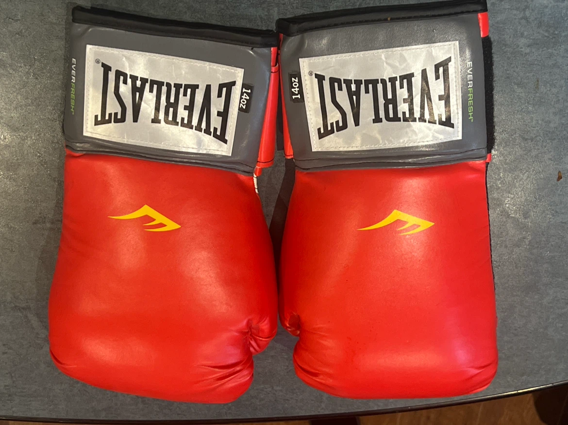 Everlast 14oz Boxing Gloves