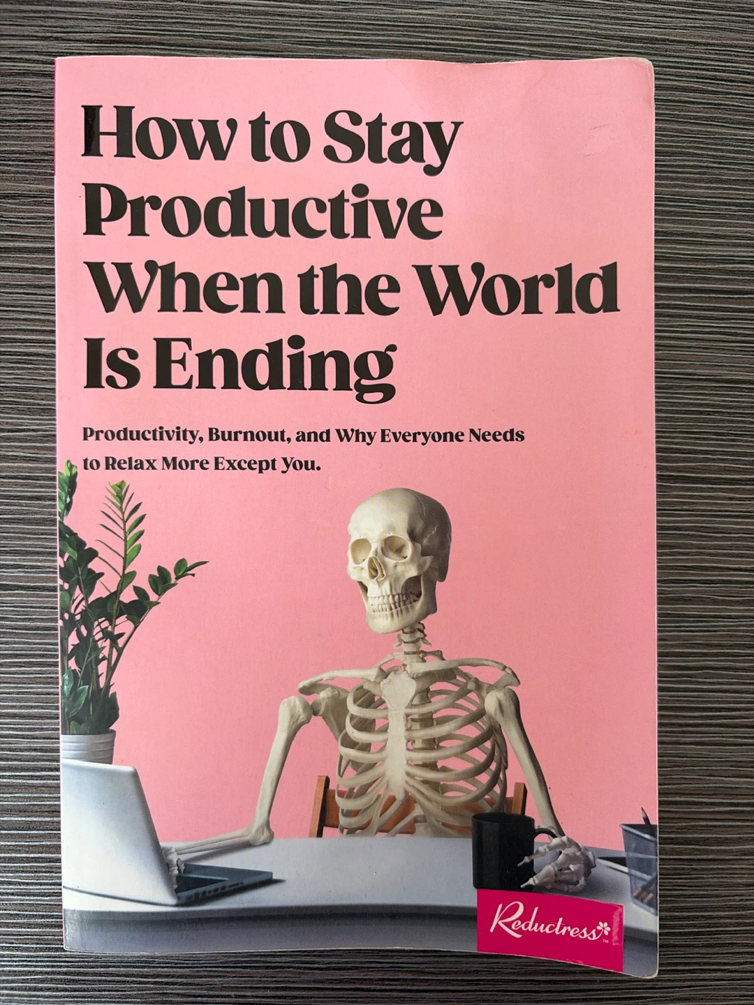 How to Stay Productive When the World Is Ending Book