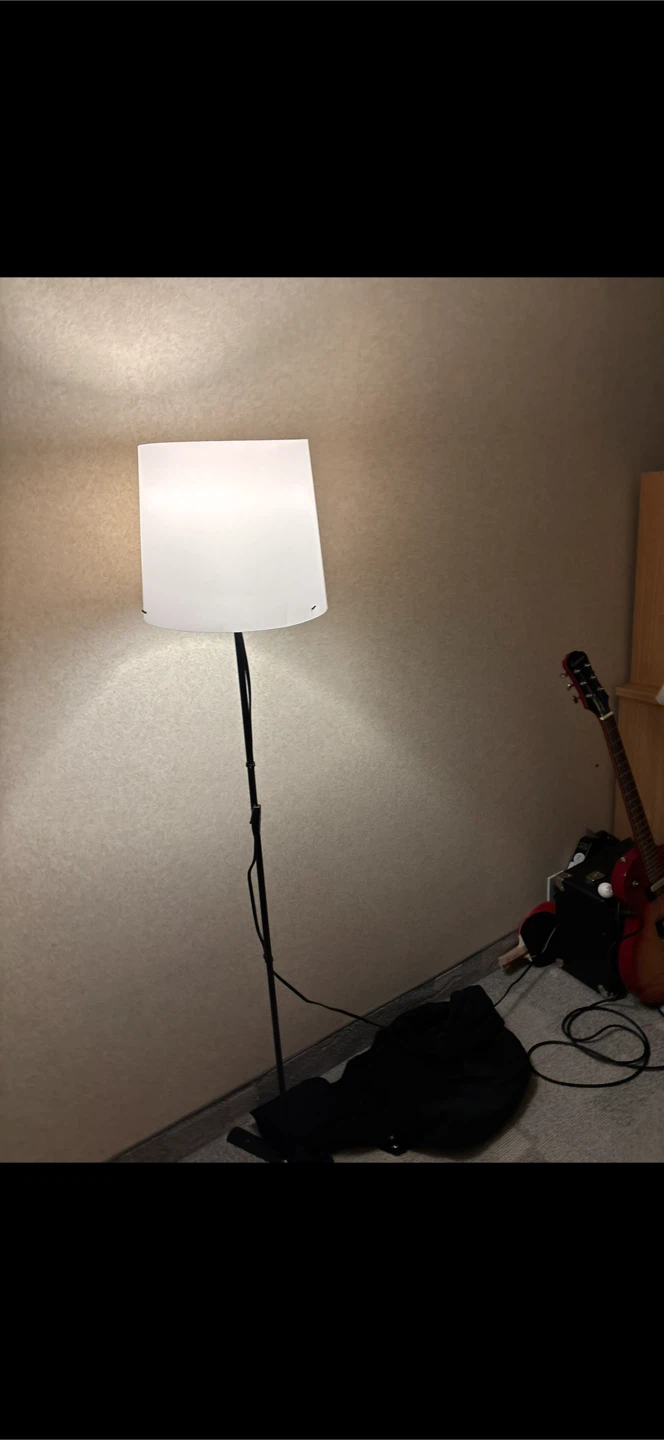 IKEA BARLAST Floor Lamp