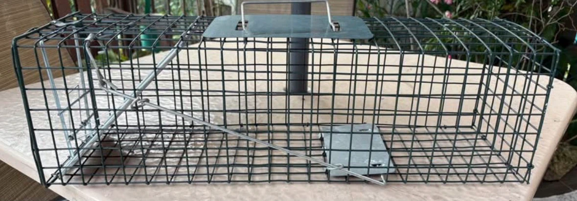 24" (small) Easy Set Live Animal Cage Trap