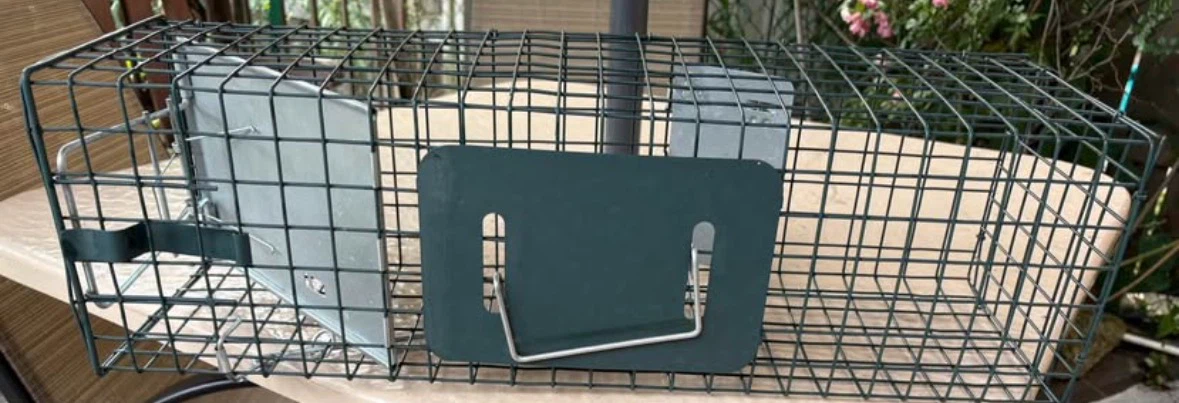 24" (small) Easy Set Live Animal Cage Trap - photo 2