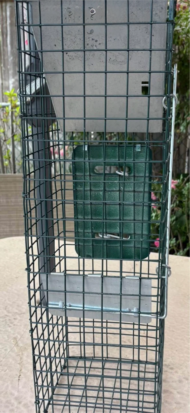 24" (small) Easy Set Live Animal Cage Trap - photo 3