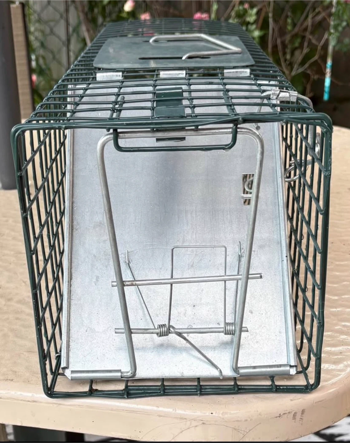 24" (small) Easy Set Live Animal Cage Trap - photo 4