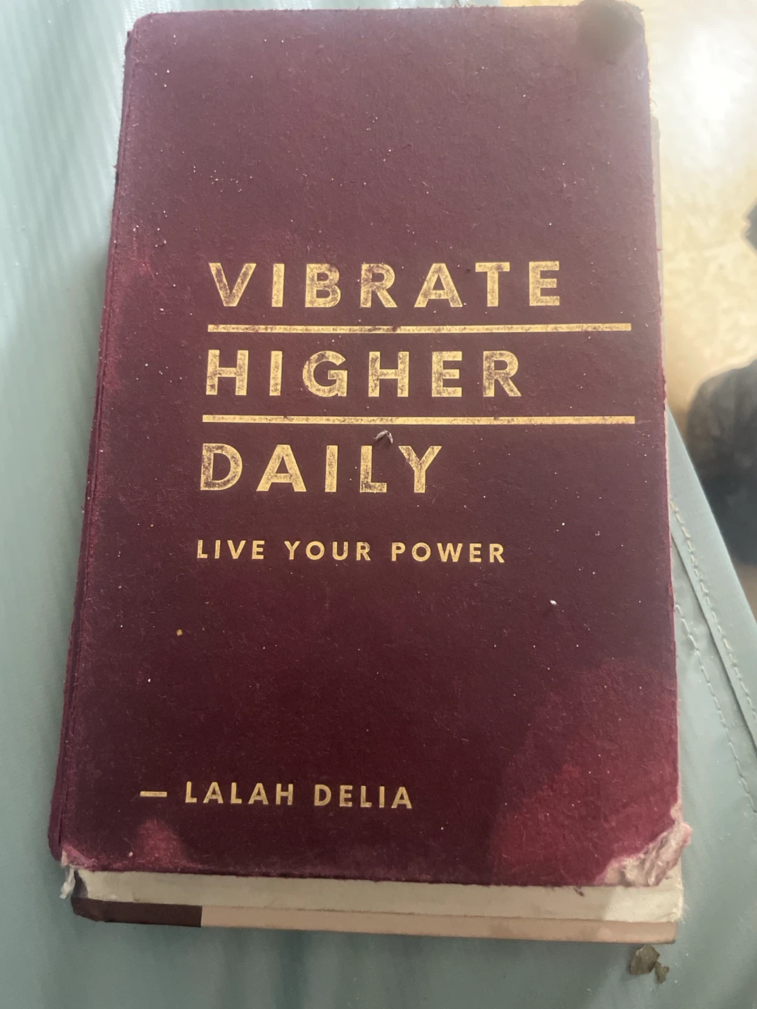 Vibrate Higher Daily Journal by Lalah Delia