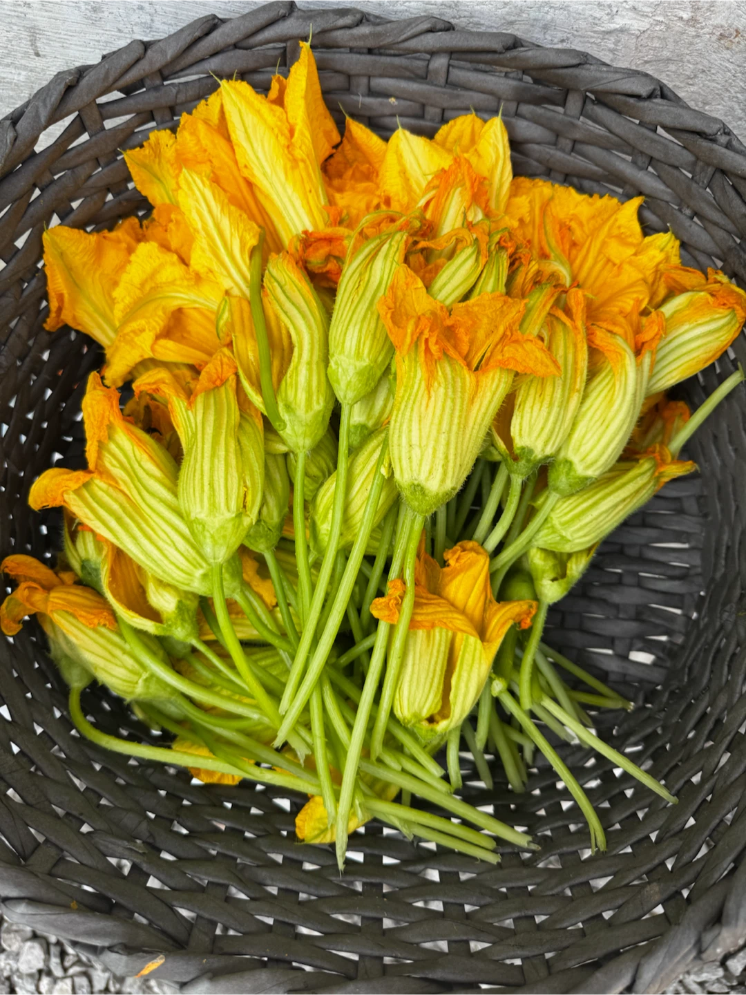 Bulaklak ng kalabasa with Talbos ng kalabasa - photo 2