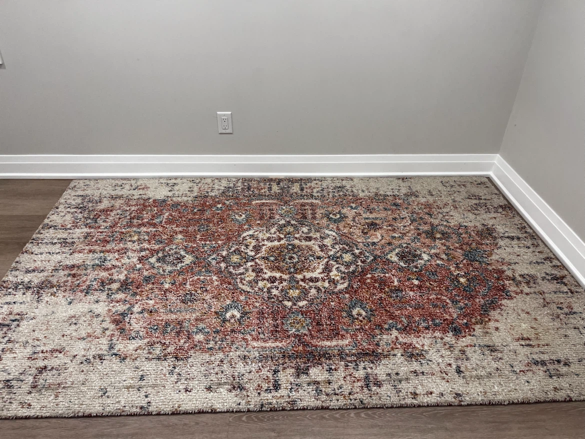 West Elm Area Rug