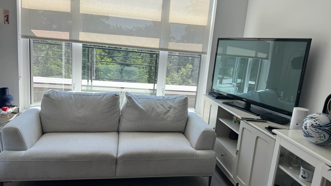 Light Grey Sofa - photo 3