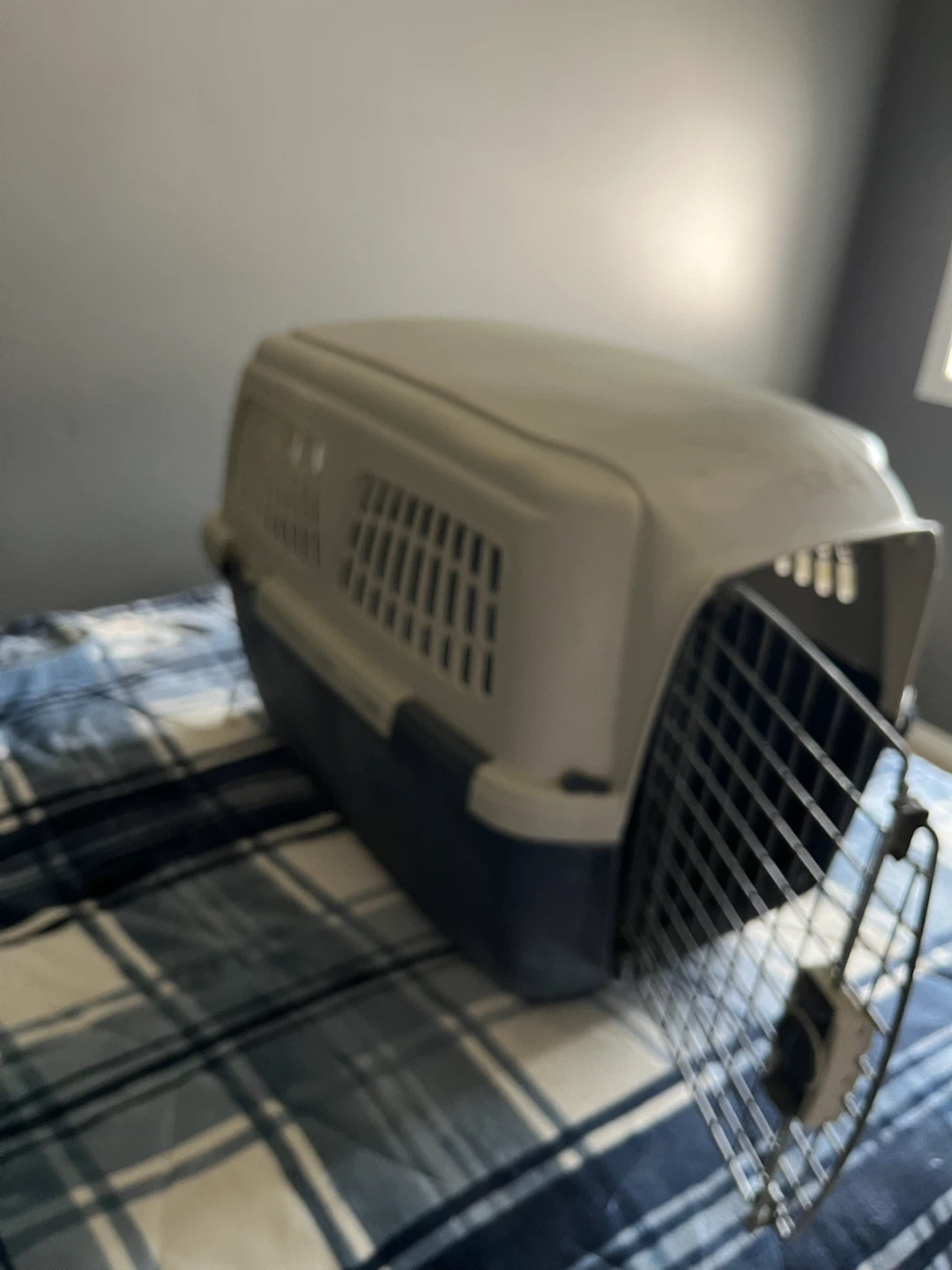 Dog Kennel